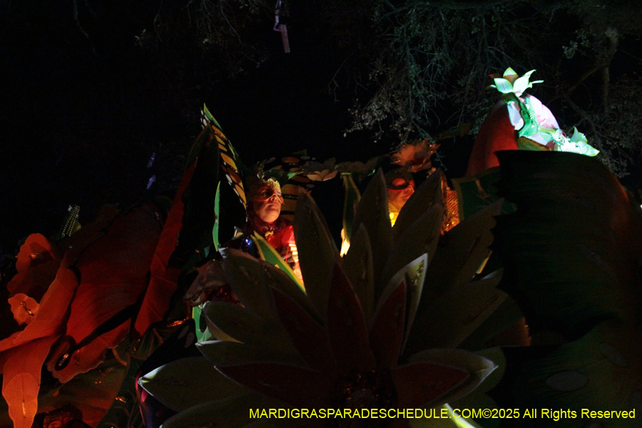 Krewe-of-Orpheus-2025-2795