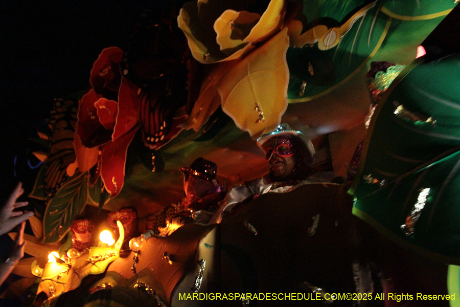 Krewe-of-Orpheus-2025-2796