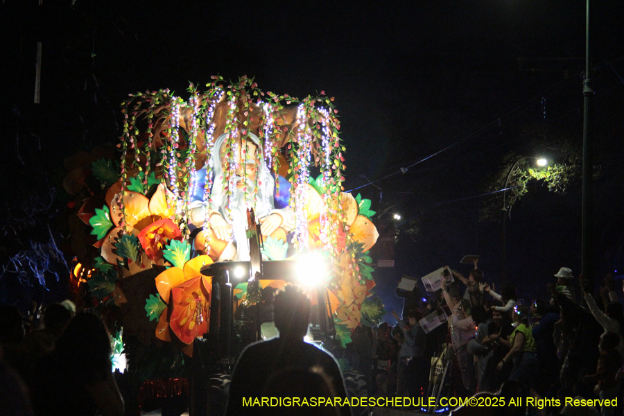 Krewe-of-Orpheus-2025-2806