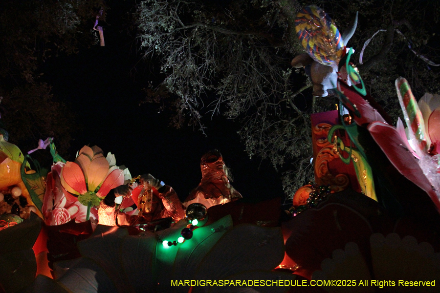 Krewe-of-Orpheus-2025-2826