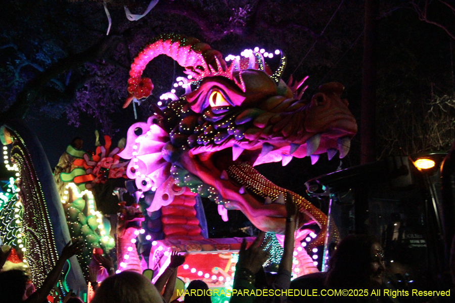 Krewe-of-Orpheus-2025-2836