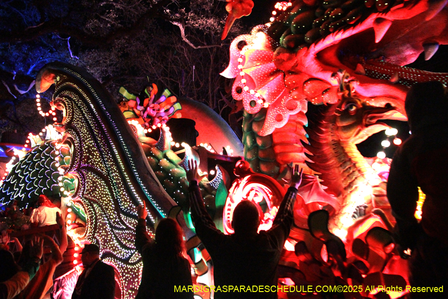 Krewe-of-Orpheus-2025-2837