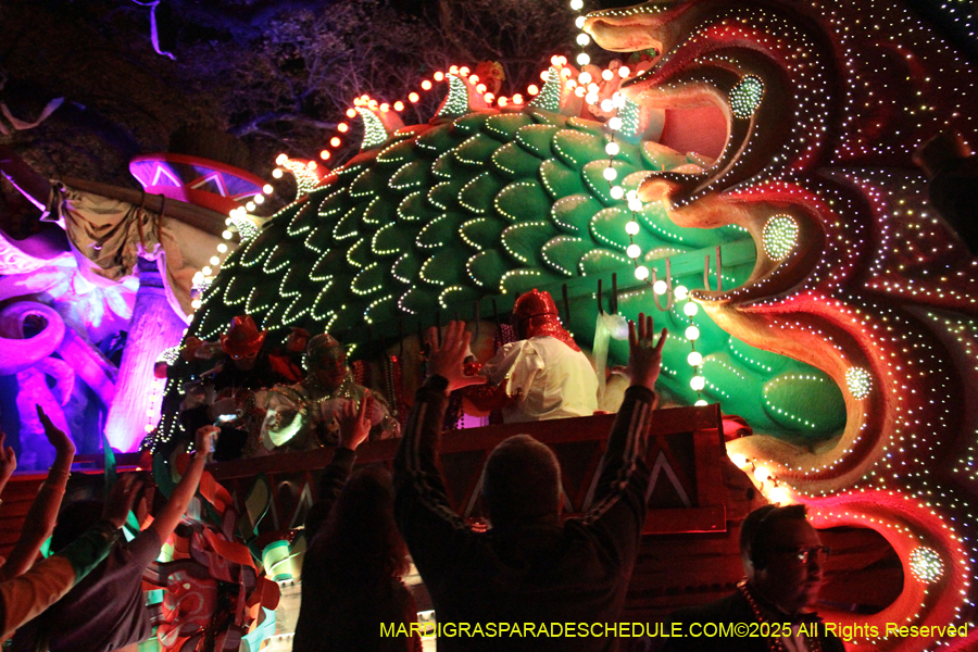 Krewe-of-Orpheus-2025-2838