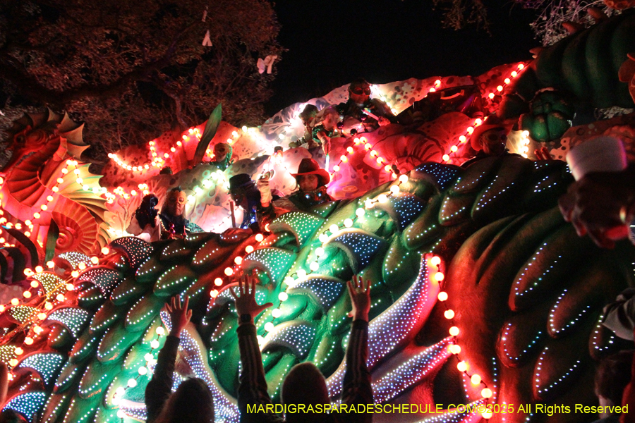 Krewe-of-Orpheus-2025-2841