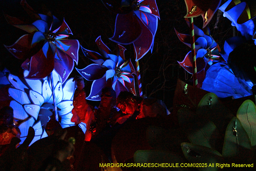 Krewe-of-Orpheus-2025-2852