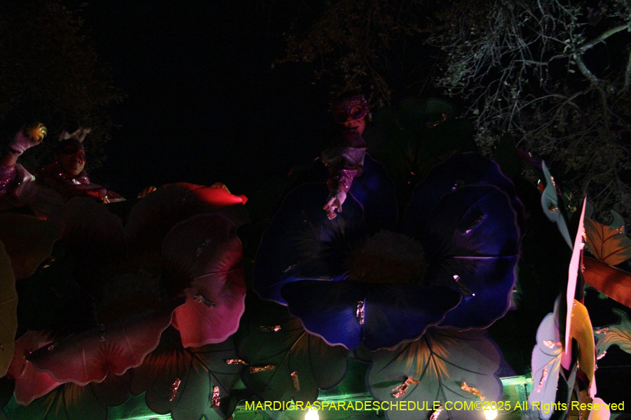 Krewe-of-Orpheus-2025-2858