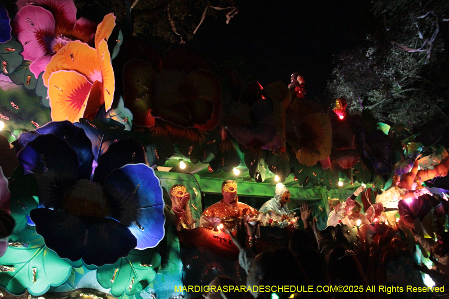 Krewe-of-Orpheus-2025-2859