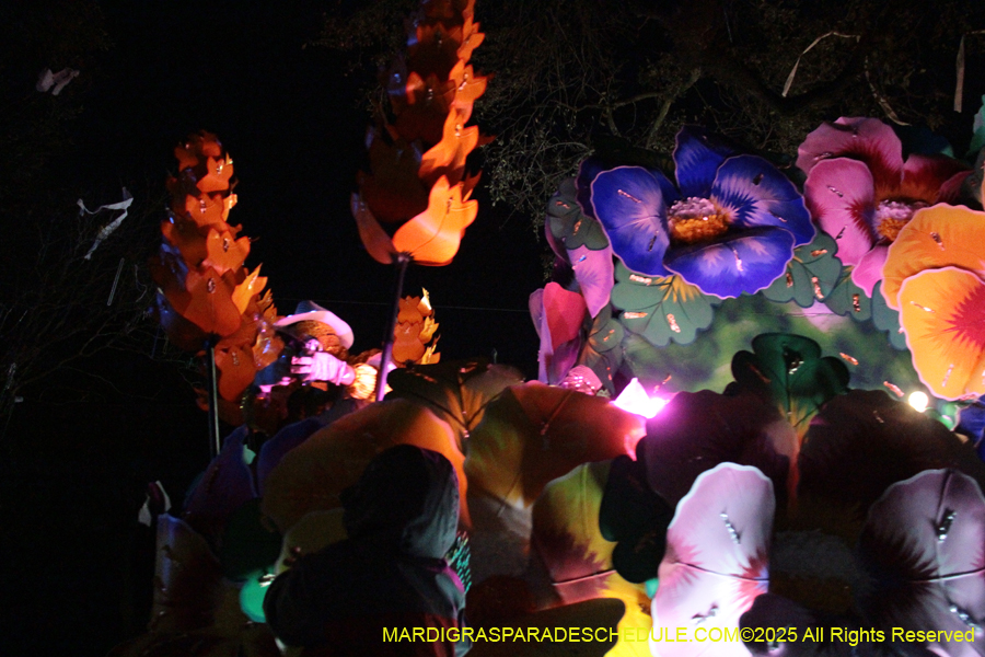 Krewe-of-Orpheus-2025-2860