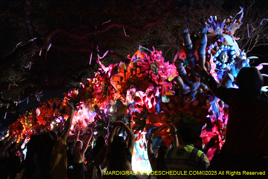 Krewe-of-Orpheus-2025-2863