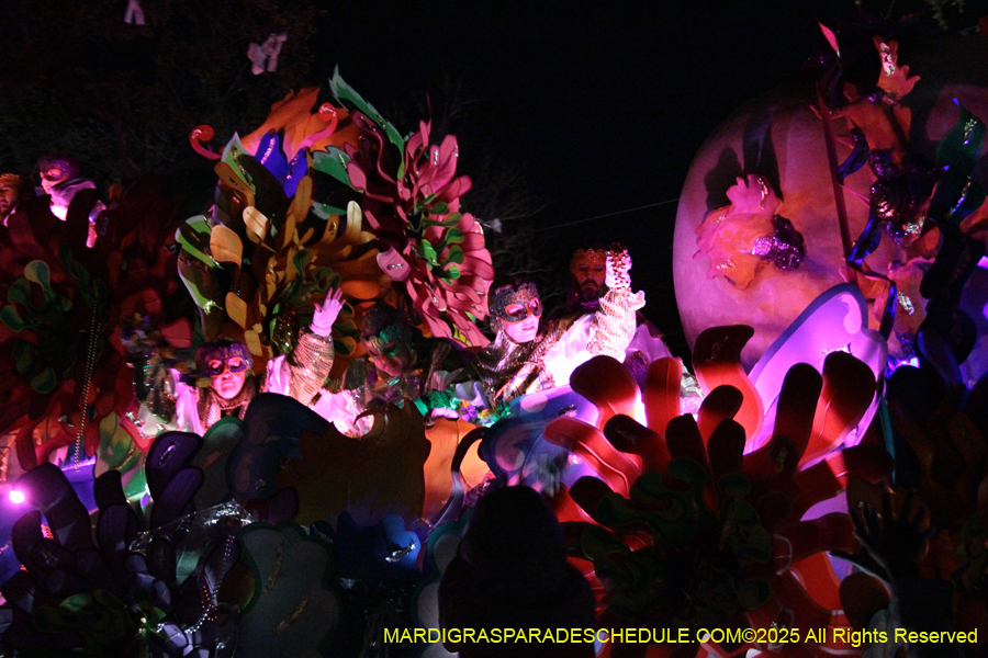 Krewe-of-Orpheus-2025-2864