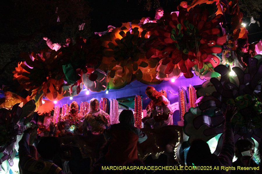 Krewe-of-Orpheus-2025-2865
