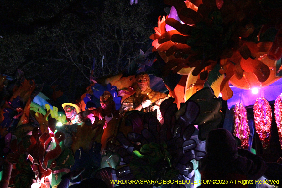 Krewe-of-Orpheus-2025-2866