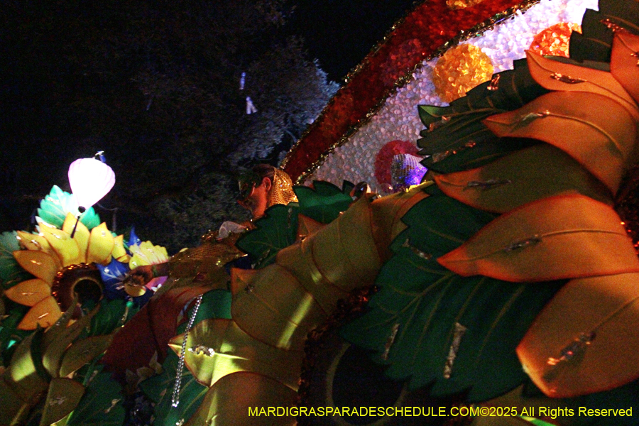 Krewe-of-Orpheus-2025-2875