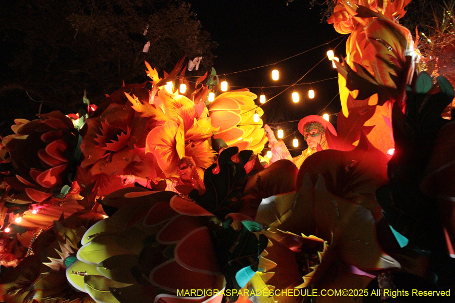 Krewe-of-Orpheus-2025-2890