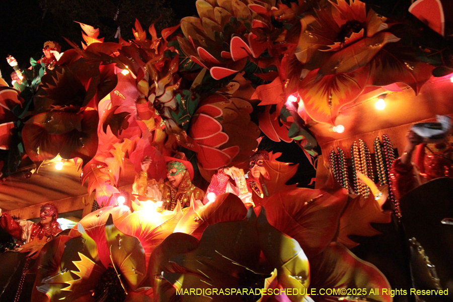 Krewe-of-Orpheus-2025-2891