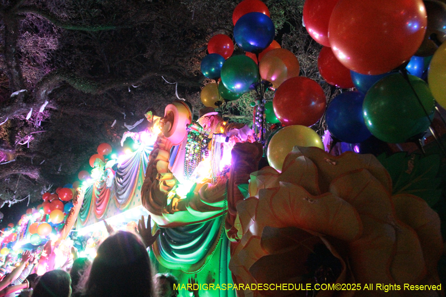 Krewe-of-Orpheus-2025-2896
