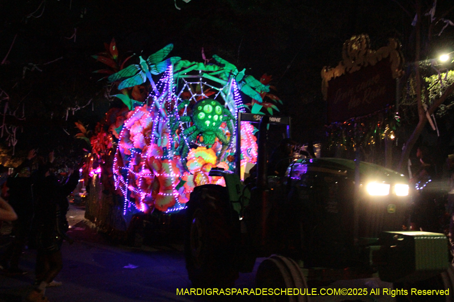 Krewe-of-Orpheus-2025-2911