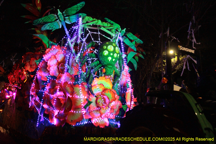 Krewe-of-Orpheus-2025-2912