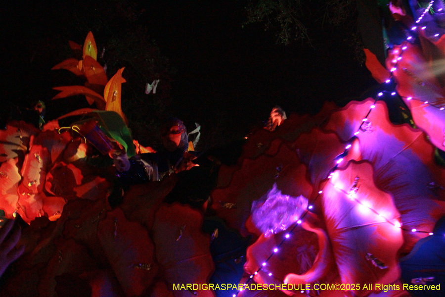 Krewe-of-Orpheus-2025-2913