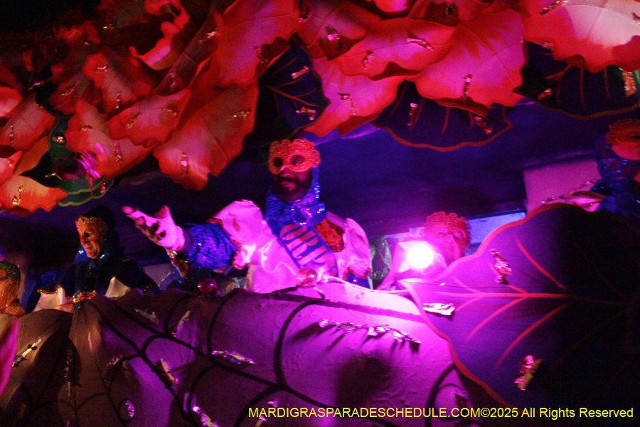Krewe-of-Orpheus-2025-2914