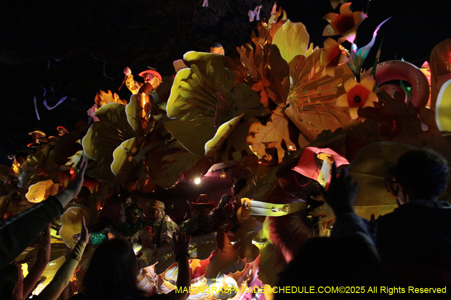 Krewe-of-Orpheus-2025-2922