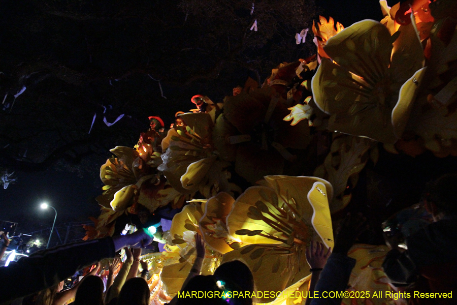 Krewe-of-Orpheus-2025-2923