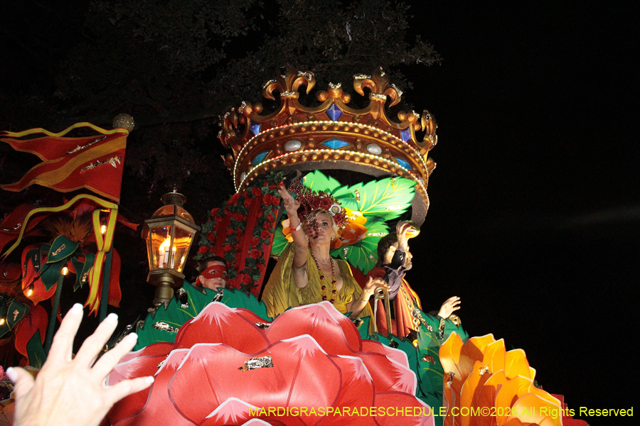 Krewe-of-Orpheus-2026-10682