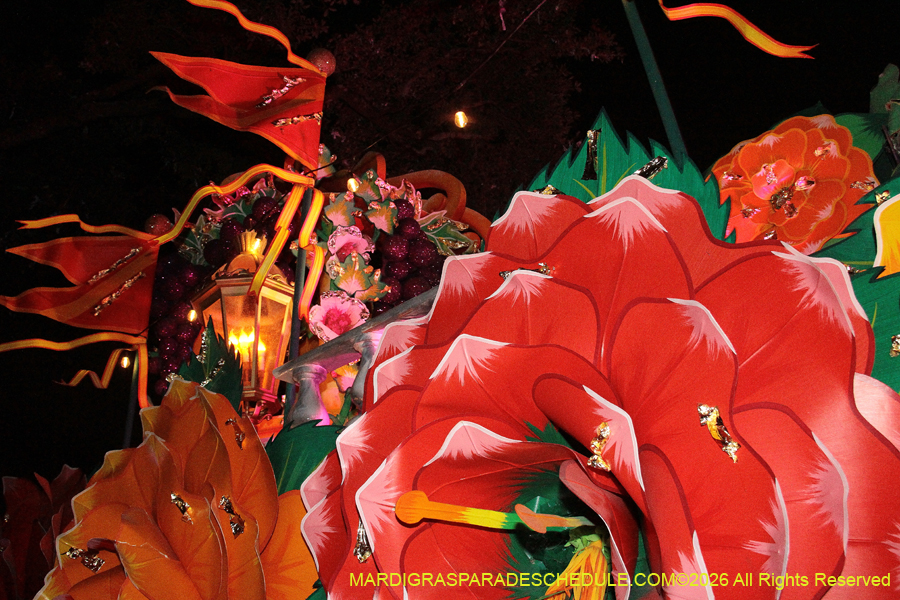 Krewe-of-Orpheus-2026-10683