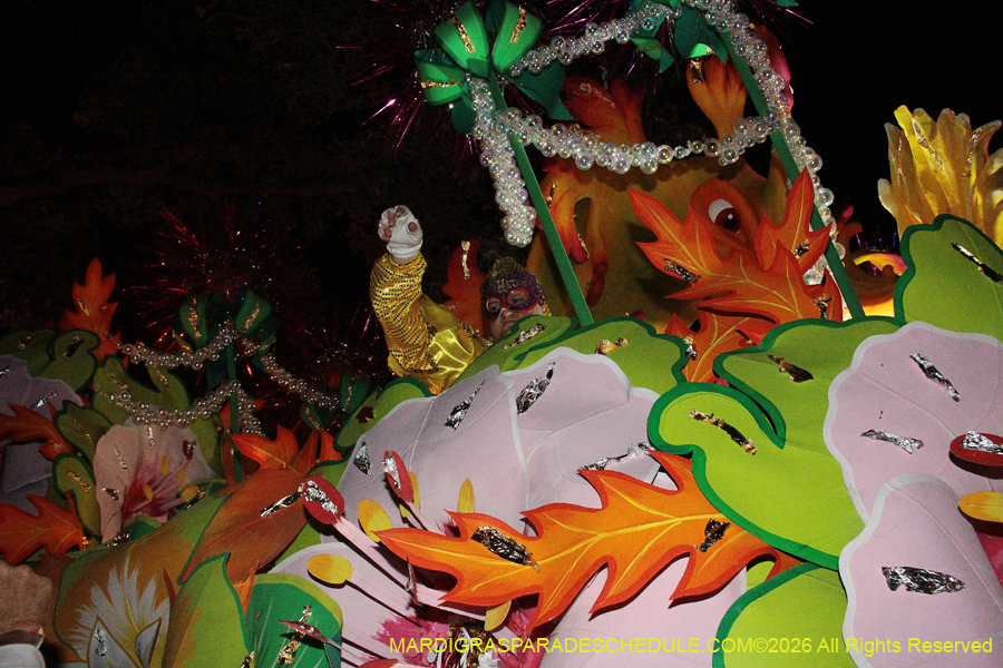 Krewe-of-Orpheus-2026-10756