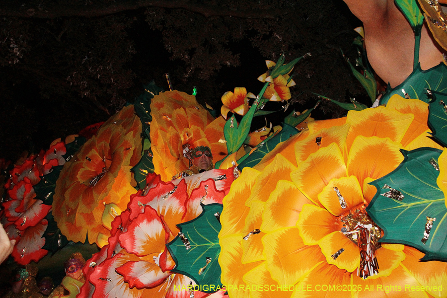 Krewe-of-Orpheus-2026-10797