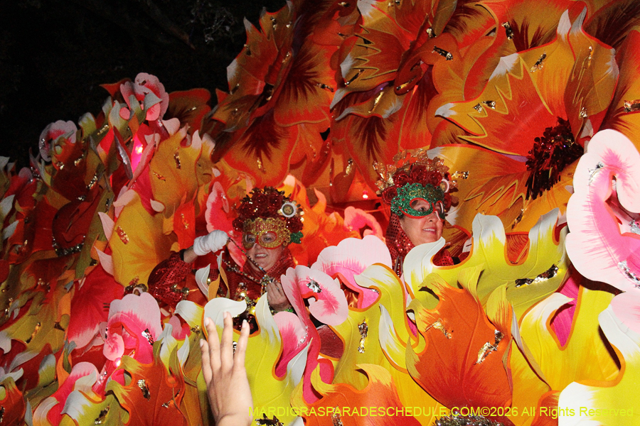 Krewe-of-Orpheus-2026-10803