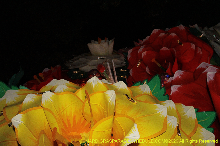 Krewe-of-Orpheus-2026-10829