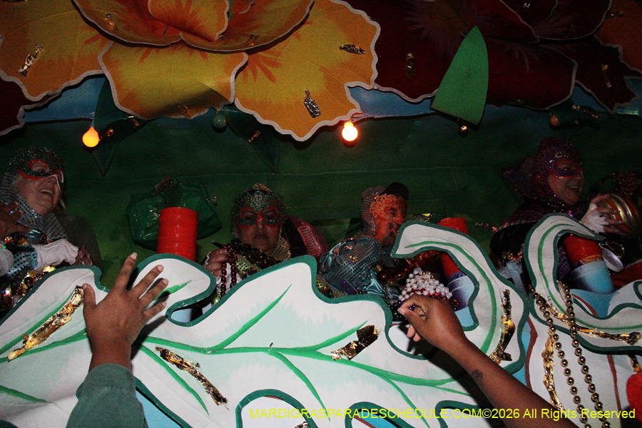 Krewe-of-Orpheus-2026-10849