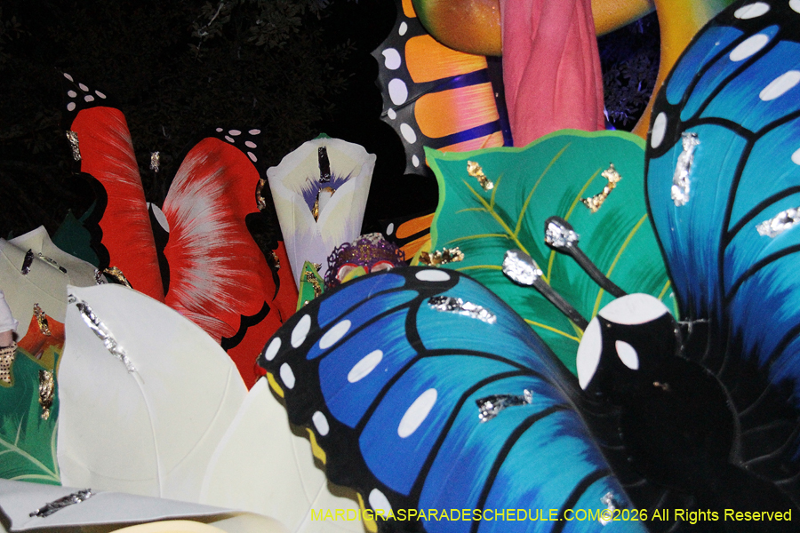 Krewe-of-Orpheus-2026-10896