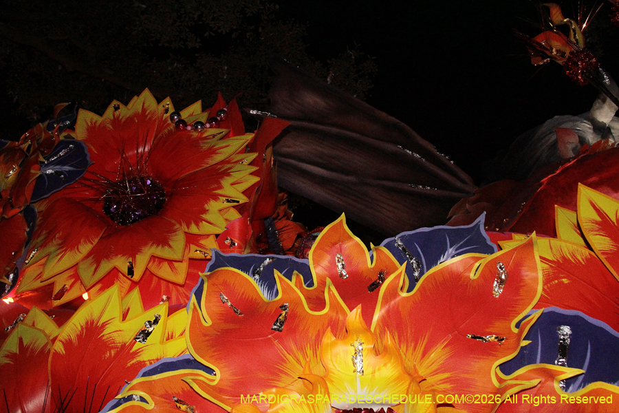 Krewe-of-Orpheus-2026-10902