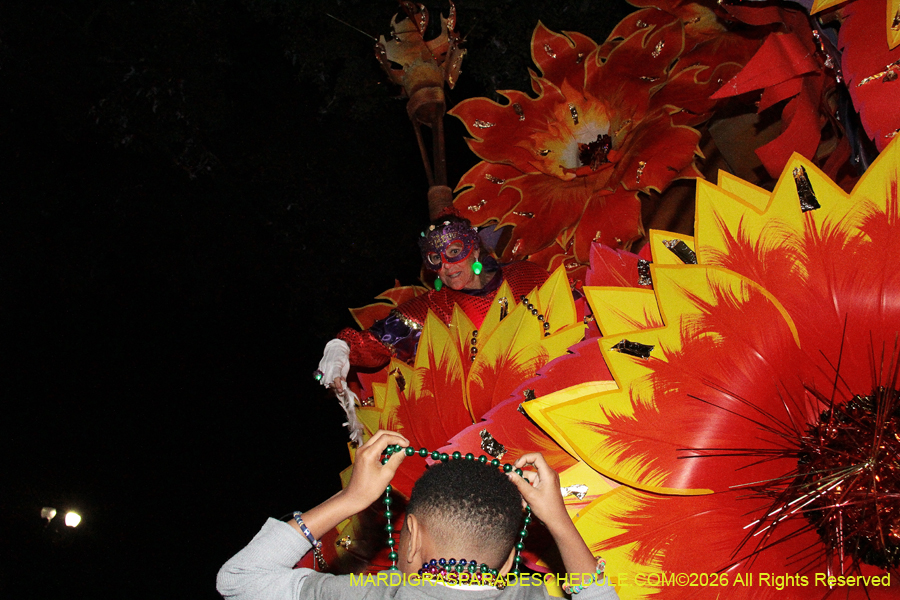 Krewe-of-Orpheus-2026-10907