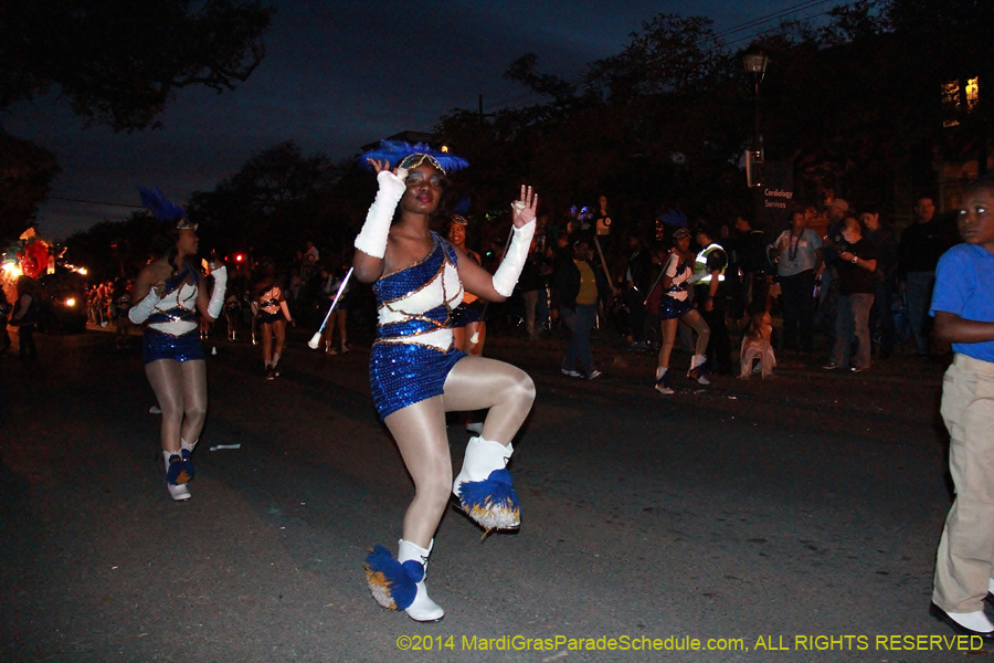 2014-Krewe-of-Oshun-11060