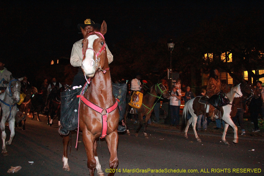 2014-Krewe-of-Oshun-11113