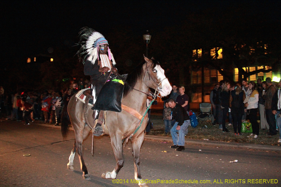 2014-Krewe-of-Oshun-11115
