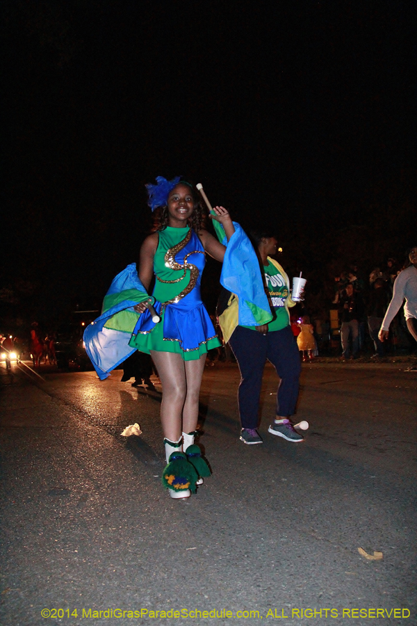 2014-Krewe-of-Oshun-11119