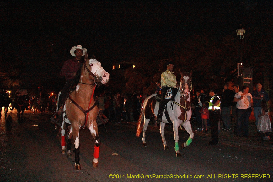 2014-Krewe-of-Oshun-11120