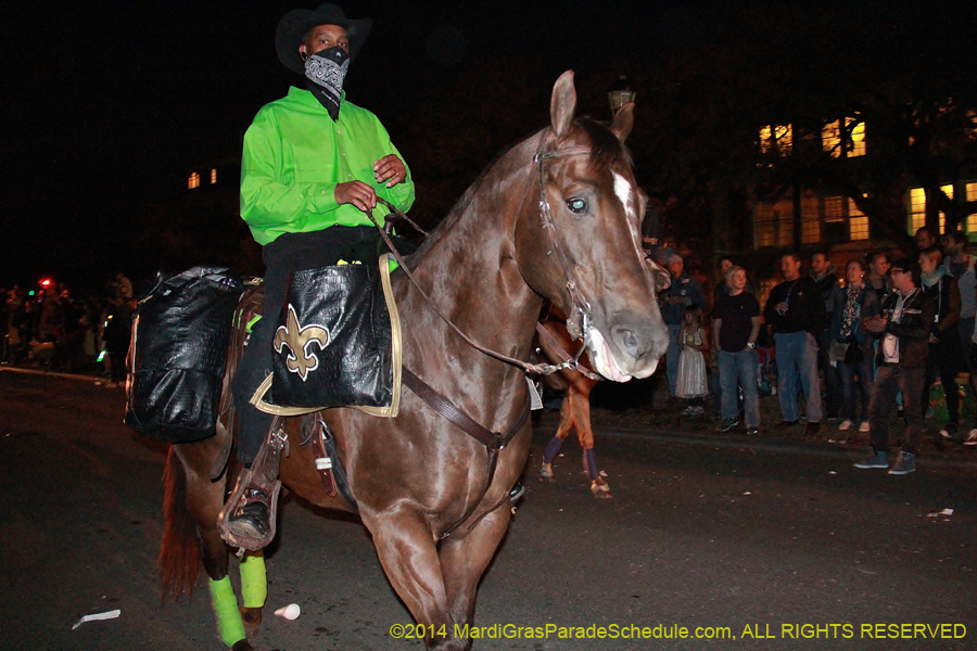 2014-Krewe-of-Oshun-11122