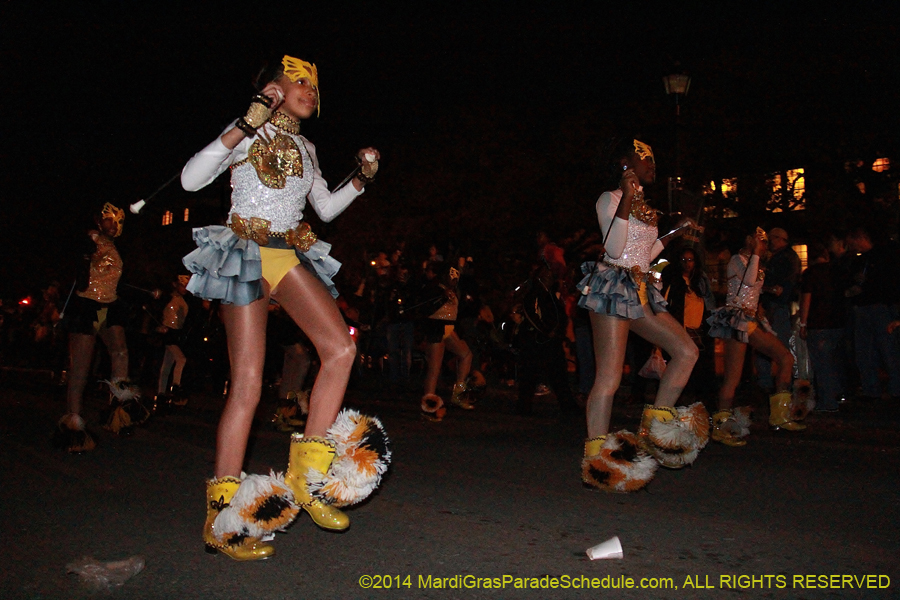 2014-Krewe-of-Oshun-11132