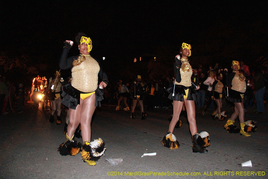 2014-Krewe-of-Oshun-11133