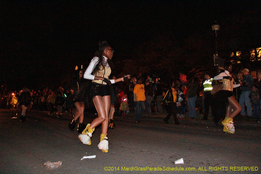 2014-Krewe-of-Oshun-11134