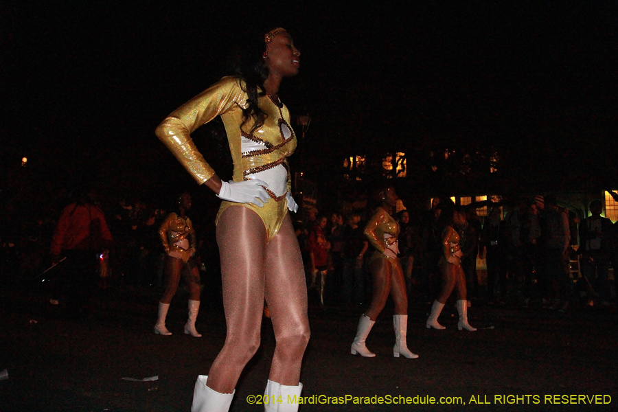 2014-Krewe-of-Oshun-11166