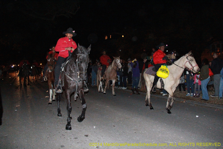 2014-Krewe-of-Oshun-11195