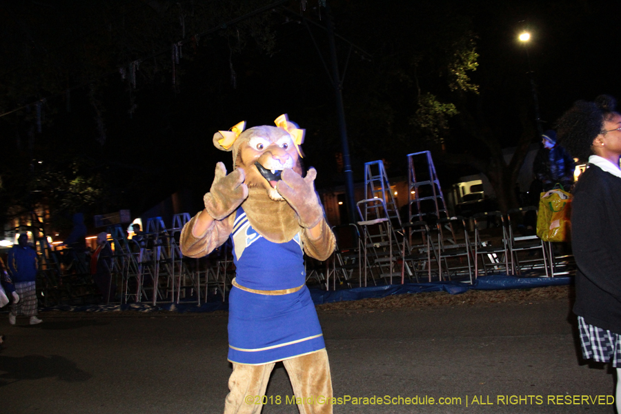 2018-Krewe-of-Oshun-00000818