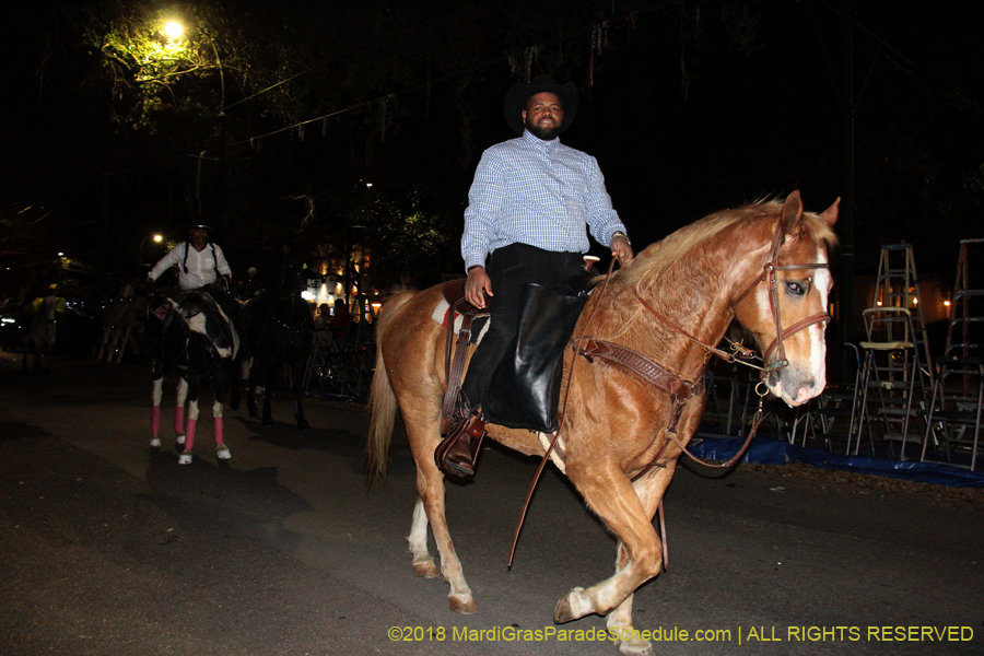 2018-Krewe-of-Oshun-00000828