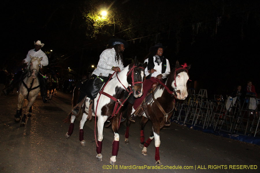 2018-Krewe-of-Oshun-00000830